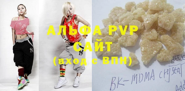 прущие грибы Армянск