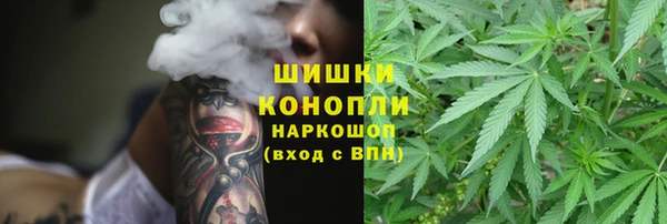 сатива Арсеньев