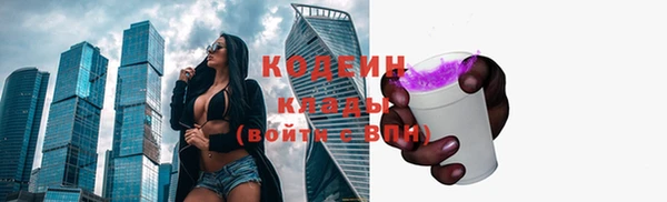 сатива Арсеньев