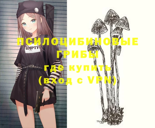 сатива Арсеньев