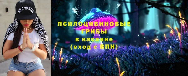 сатива Арсеньев