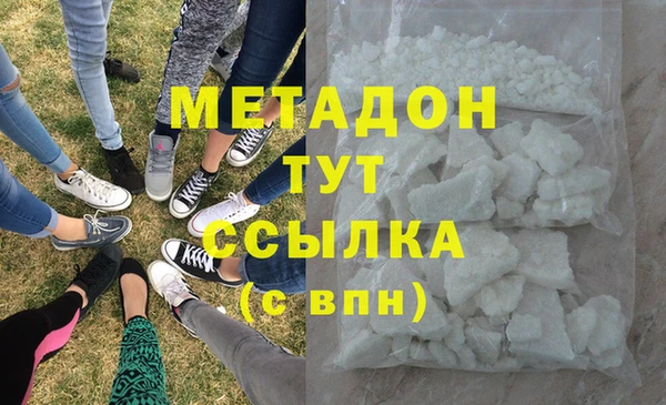 прущие грибы Армянск