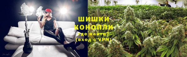 сатива Арсеньев