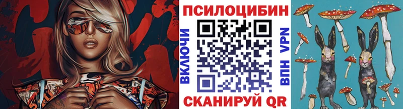 Галлюциногенные грибы мухоморы  даркнет сайт  Ветлуга 